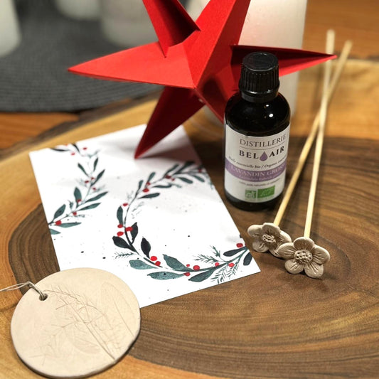 Weihnachtsgeschenk Bundle