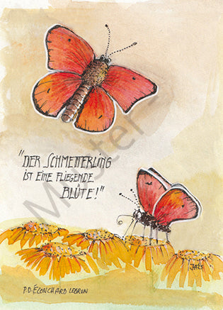 Postkarte "Schmetterling"